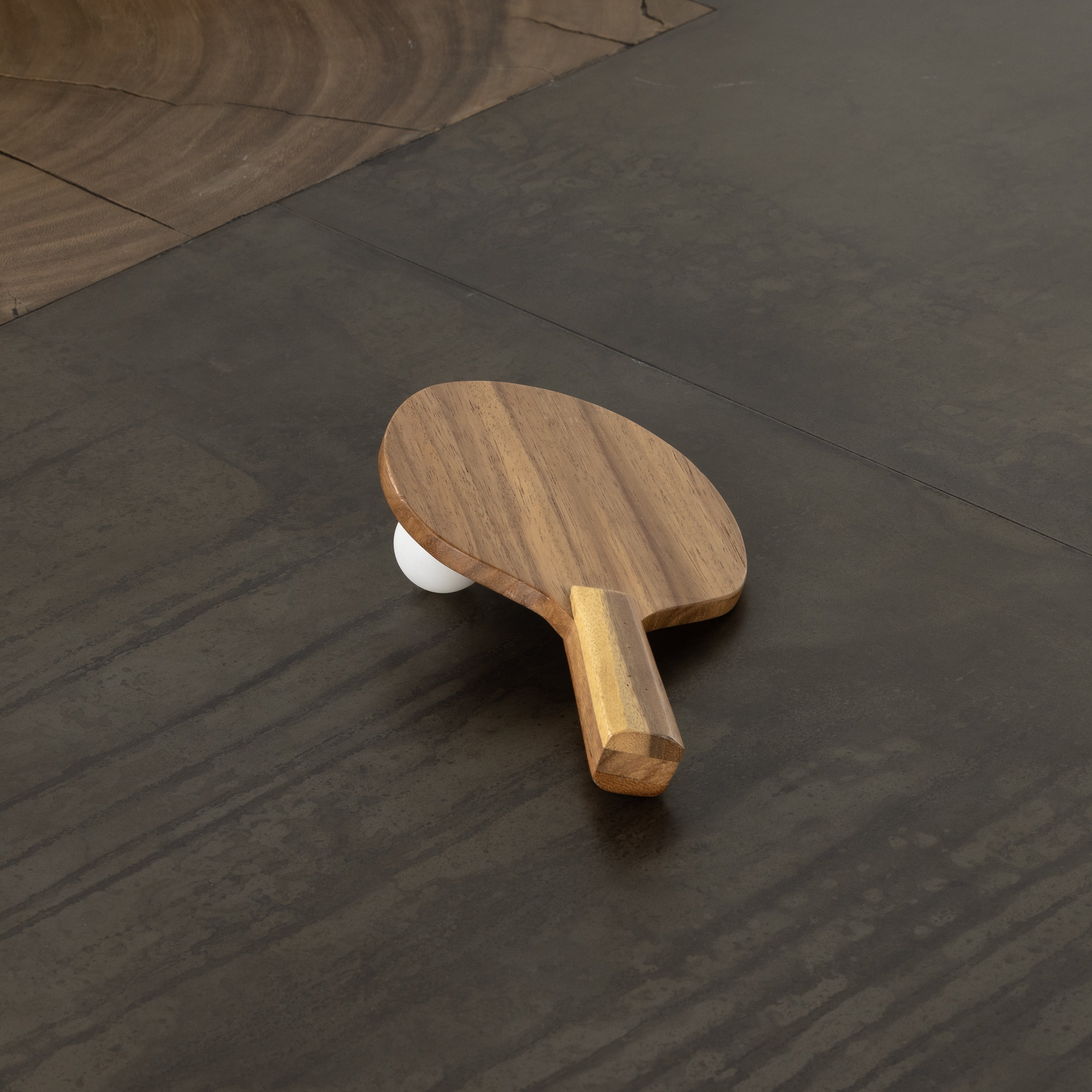 Four Hands Ping Pong Table