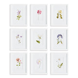 Napa Home & Garden Mountain Flower Petite Prints - Set of 9