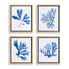 Napa Home & Garden Indigo Seaweed Prints - Set of 4