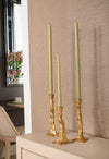 Villa & House Branch Candlesticks -  Set of 3