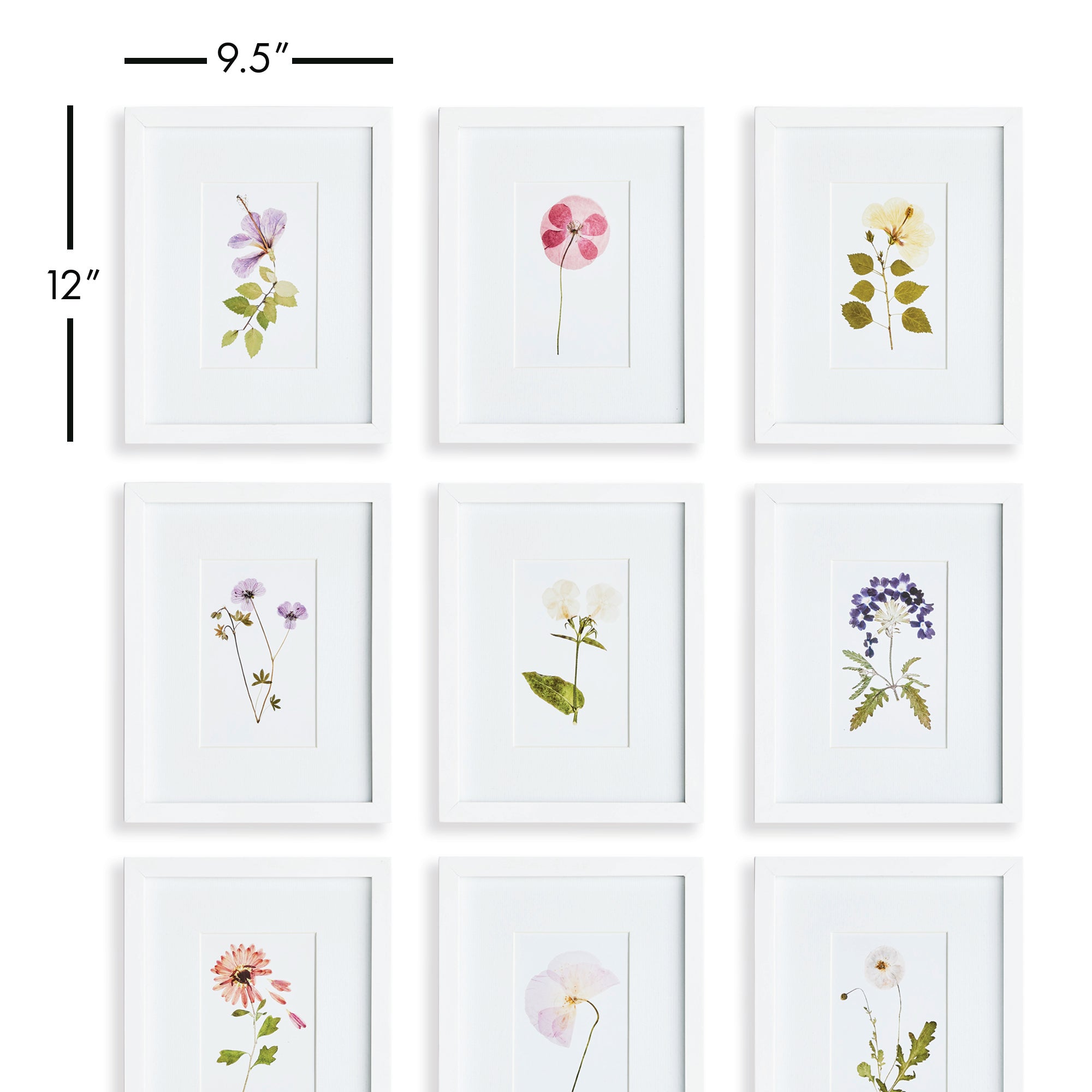Napa Home & Garden Mountain Flower Petite Prints - Set of 9