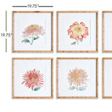 Napa Home & Garden Colorful Chrysanthemum Prints - Set of 6
