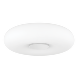 Mitzi Imani Flush Mount