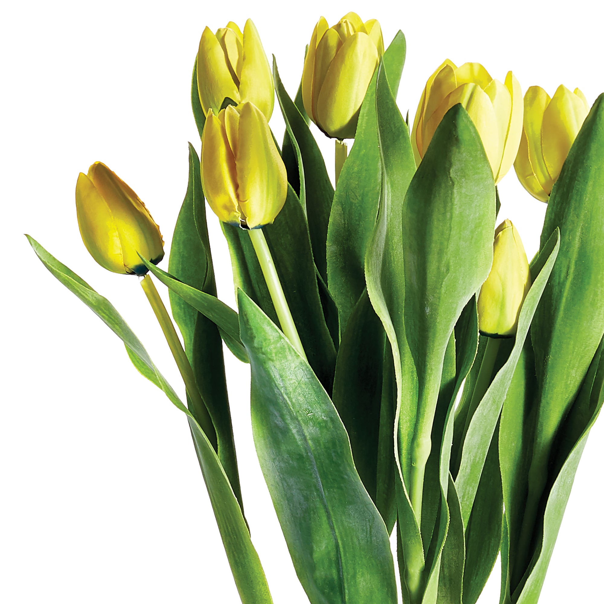 Napa Home & Garden Tulip Drop-In - 22"