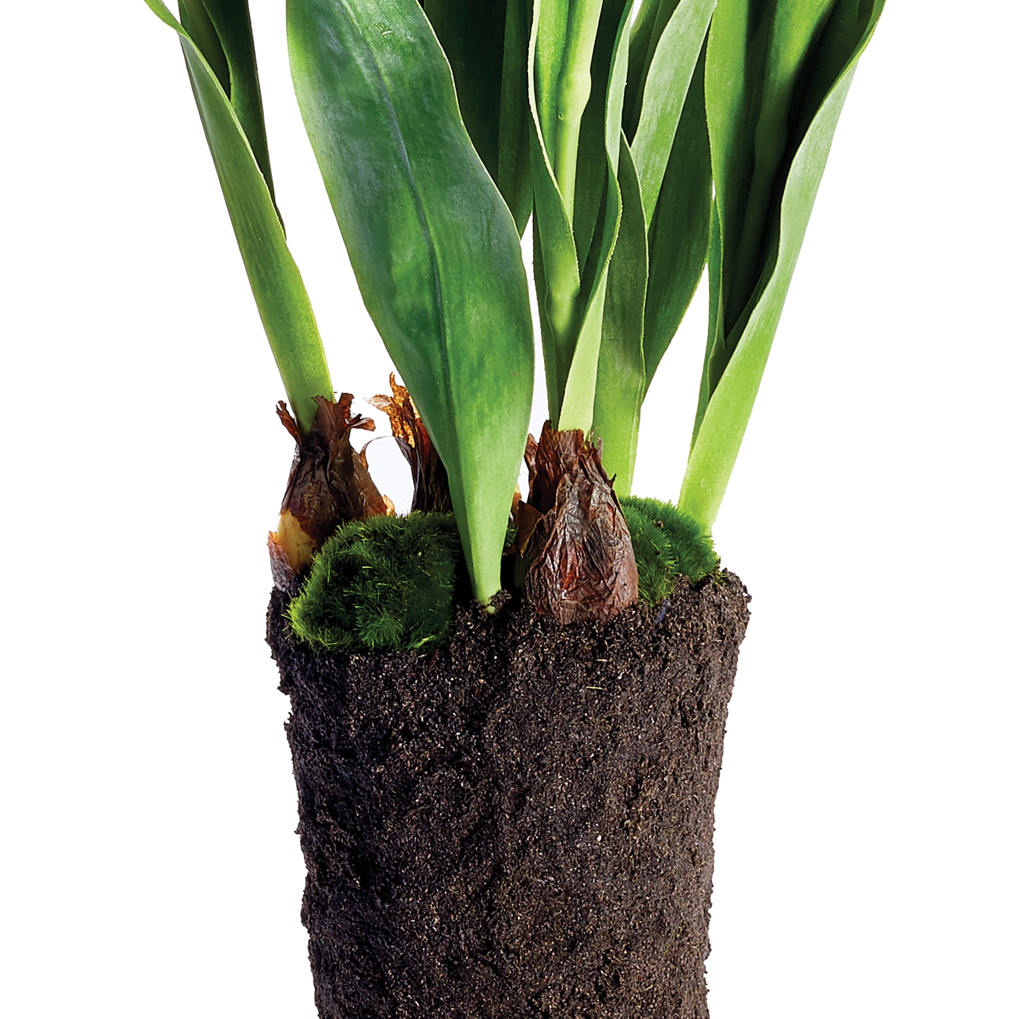 Napa Home & Garden Tulip Drop-In - 22"