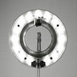 Pablo Link Wall Lamp