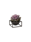 byLassen Bowl Centerpiece