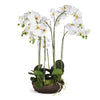 Napa Home & Garden Phalaenopsis Bowl Drop-In - 31.5"