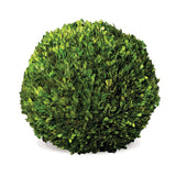 Napa Home & Garden Boxwood Ball - 16"