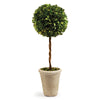 Napa Home & Garden Boxwood Single Sphere Topiary - 23.25"