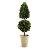 Napa Home & Garden Boxwood Cone & Ball Topiary - 25"