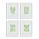 Napa Home & Garden Assorted Leaf Prints - Set Of 4