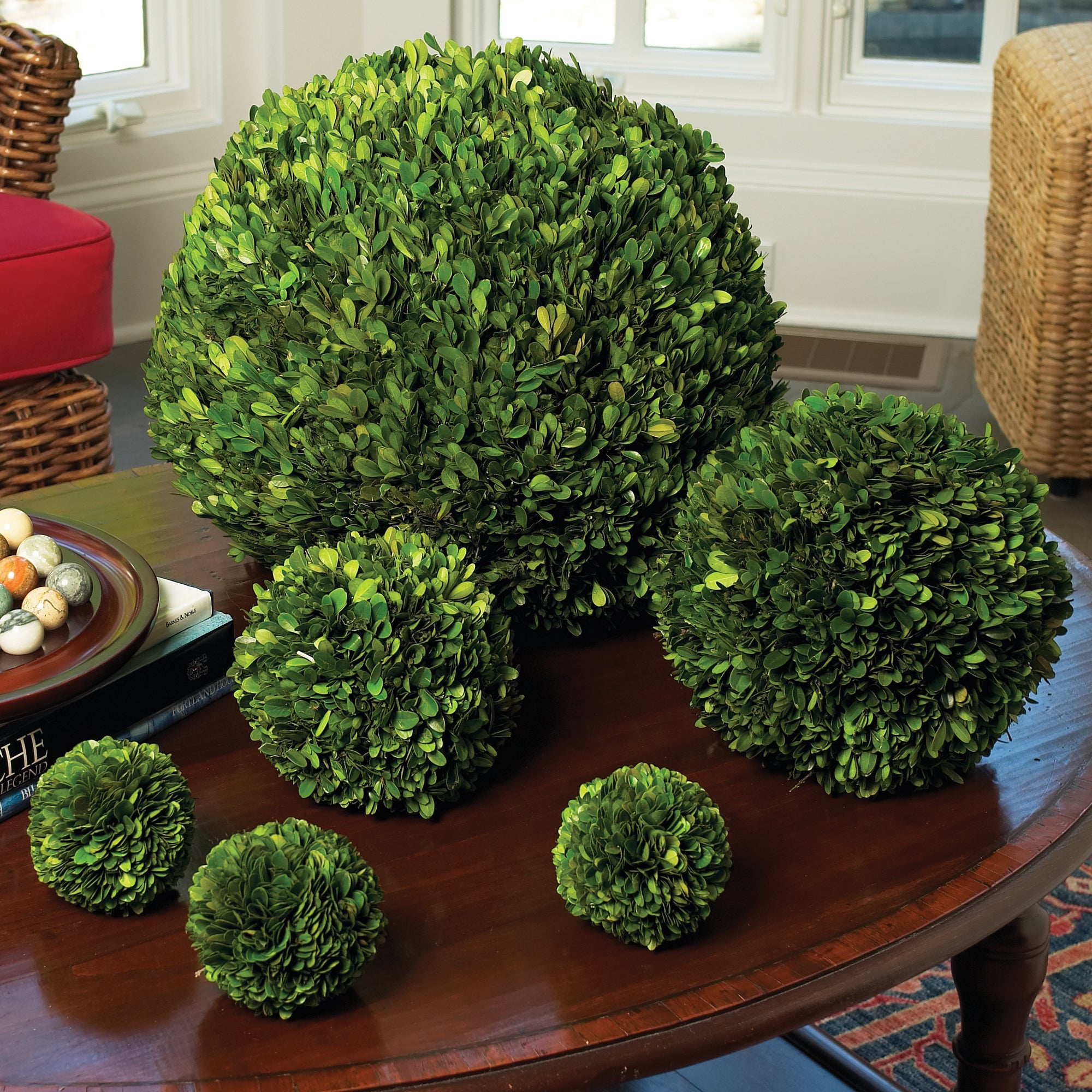 Napa Home & Garden Boxwood Ball - 16"