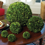 Napa Home & Garden Boxwood Ball - 16"