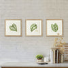 Napa Home & Garden Leaf Cuttings Petite Prints - Set of 3
