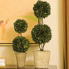 Napa Home & Garden Boxwood Double Sphere Topiary