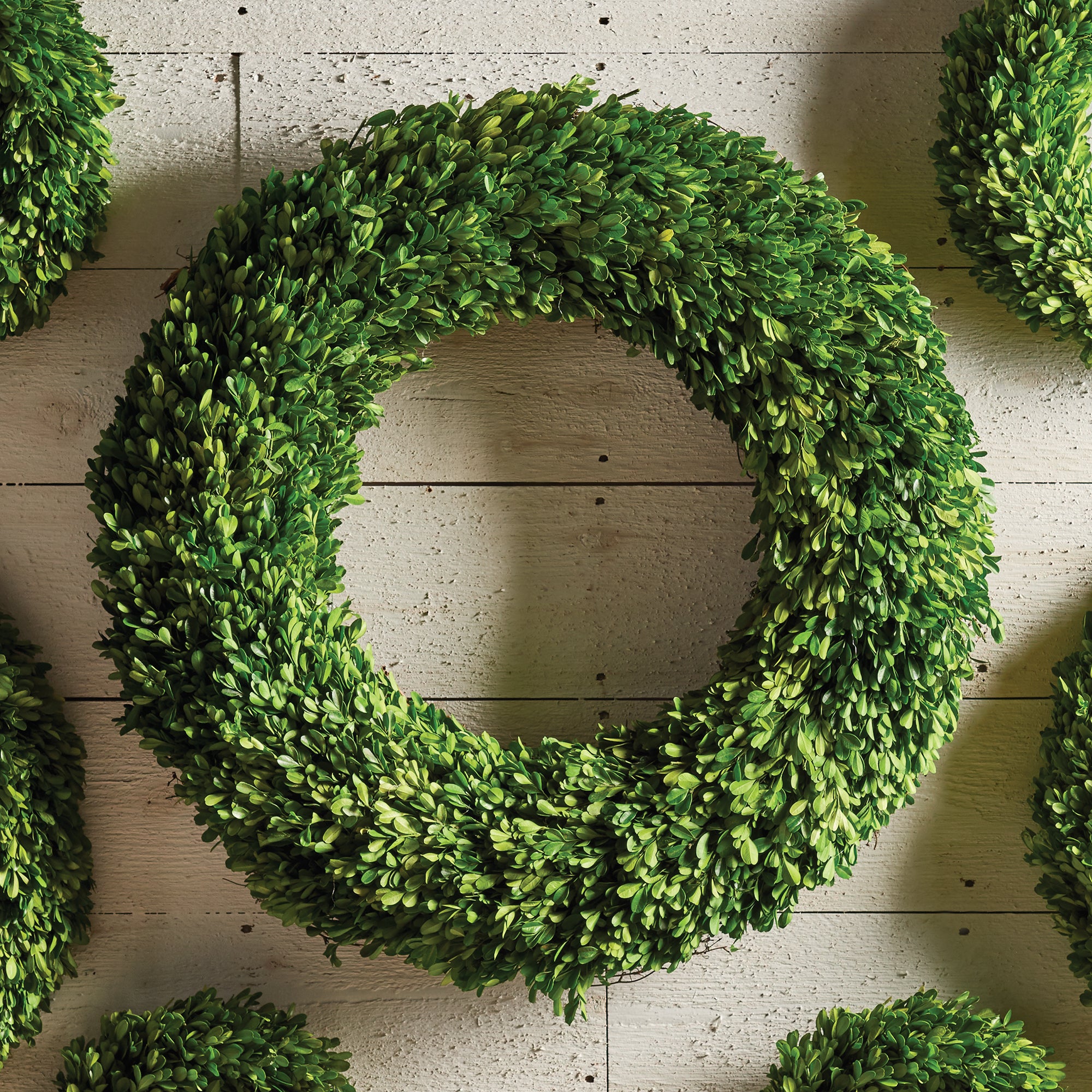Napa Home & Garden Boxwood Wreath - 30"