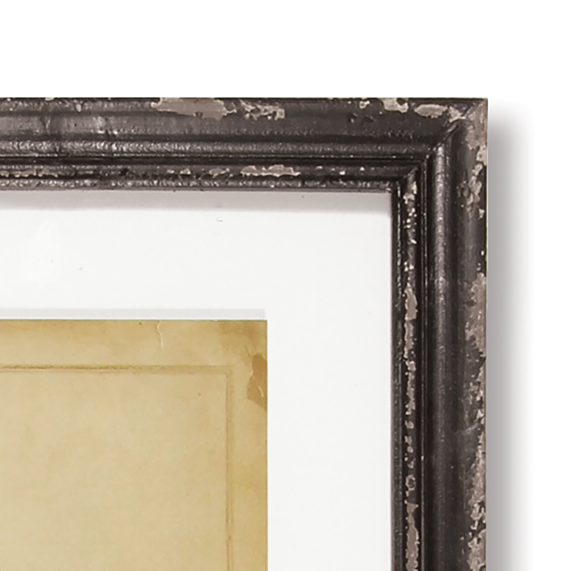 Napa Home & Garden Framed Vintage Fern Prints - Set of 8