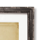 Napa Home & Garden Framed Vintage Fern Prints - Set of 8