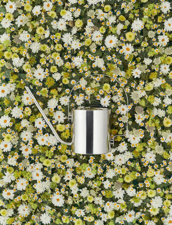 Stelton Original Flower Watering Can