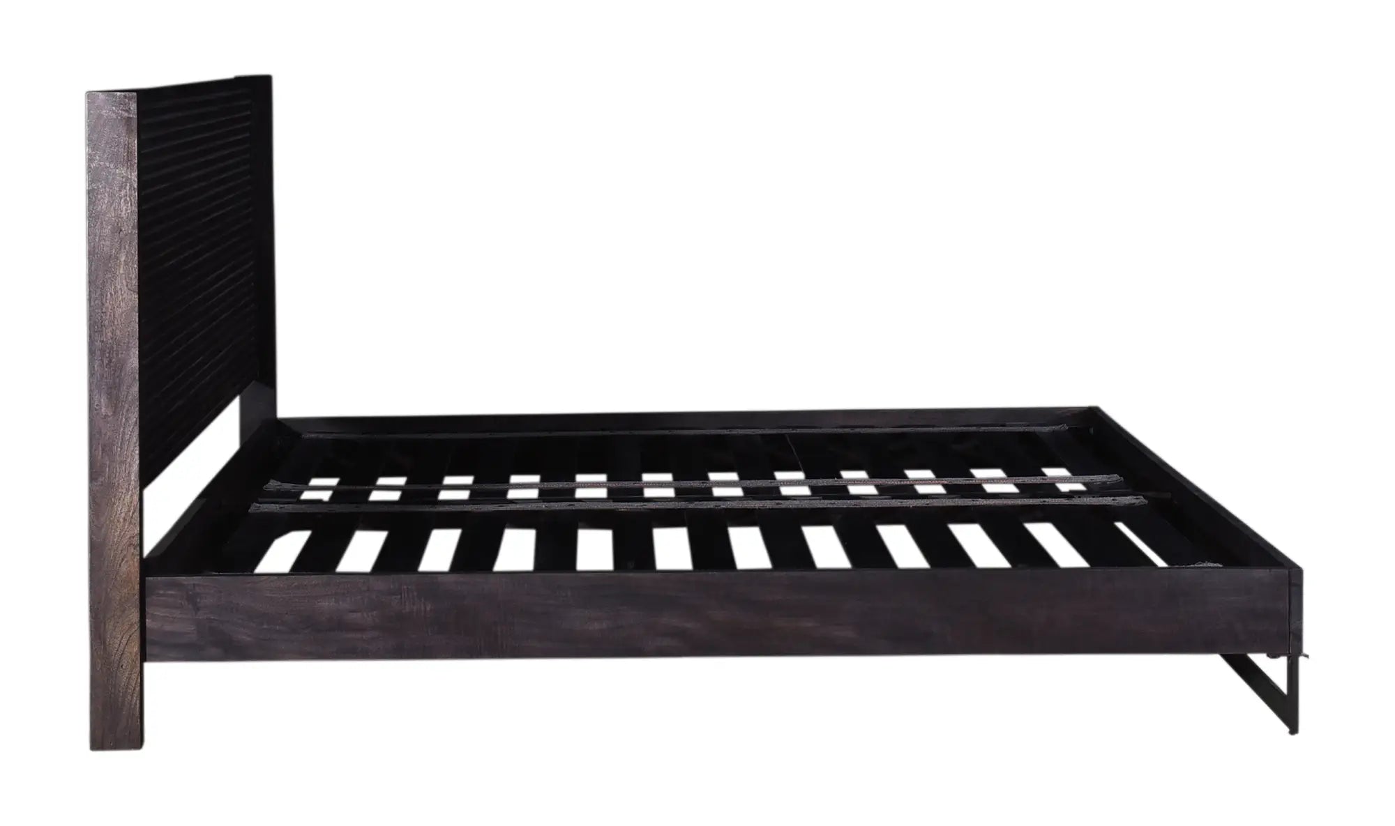 Moe's Paloma Bed