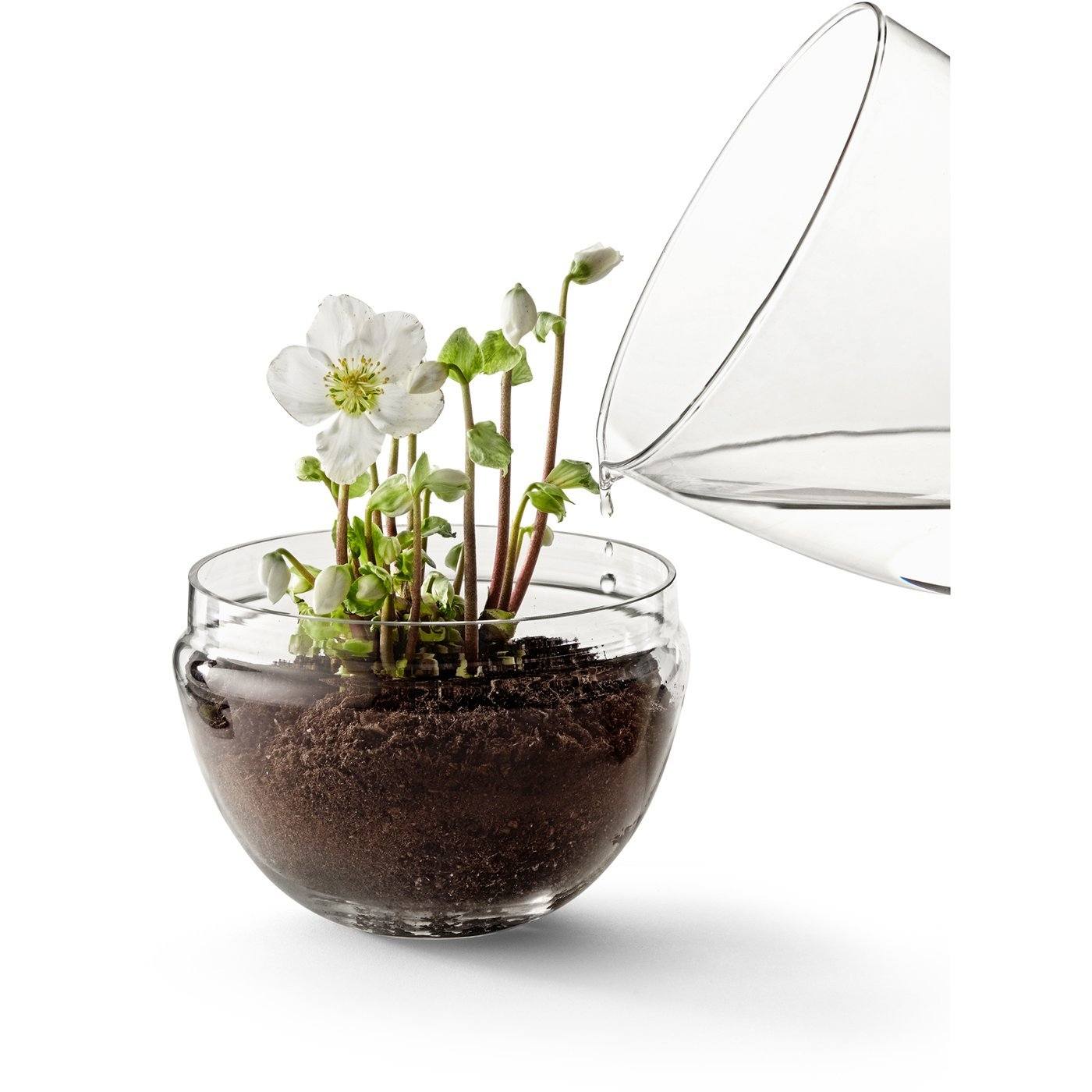 DESIGN HOUSE STOCKHOLM GROW Greenhouse X-Large