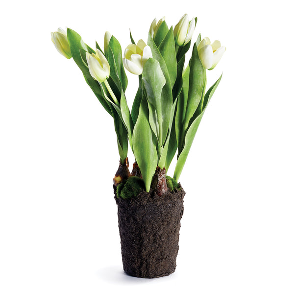 Napa Home & Garden Tulip Drop-In - 22"