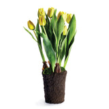 Napa Home & Garden Tulip Drop-In - 22"