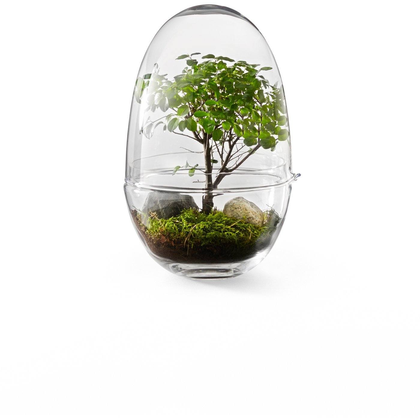 DESIGN HOUSE STOCKHOLM GROW Greenhouse X-Large