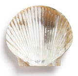 Siren Song Scallop Horn Dish