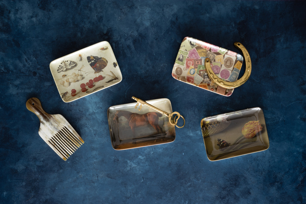 Siren Song Specimen Valet Tray