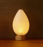 Asano LED Lantern - Seed