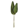Napa Home & Garden Strelitzia Leaf - Bundle of 2
