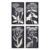 Napa Home & Garden Monochrome Queen Anne's Lace Prints - Set of 4