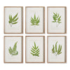 Napa Home & Garden Forest Greenery Prints - Set of 6