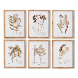 Napa Home & Garden Pressed Leaf Study - Set of 6