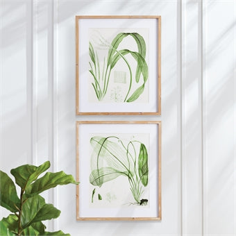 Napa Home & Garden Aquatic Leaf Prints - Set of 2