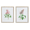 Napa Home & Garden Lilac Cutting Prints - Set of 2