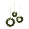 Napa Home & Garden Cypress Wreaths - Set of 3