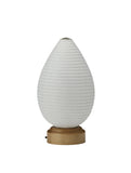 Asano LED Lantern - Seed