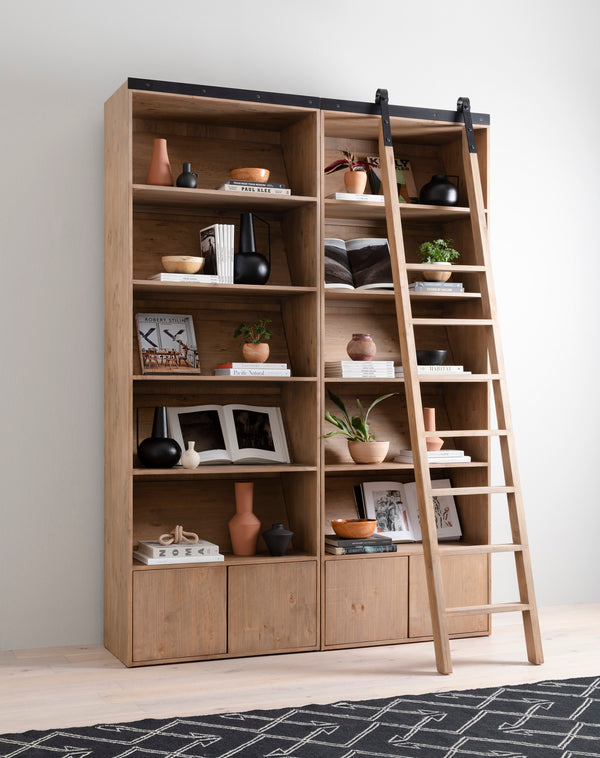 Four Hands Bane Bookshelf