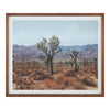 Moe's Desert Land Framed Print