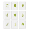 Napa Home & Garden Green Leaf Petite Prints - Set of 9