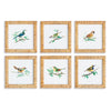 Napa Home & Garden Songbird Petite Prints - Set of 6