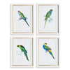 Napa Home & Garden Colorful Parrots Prints - Set of 4