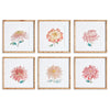 Napa Home & Garden Colorful Chrysanthemum Prints - Set of 6