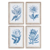 Napa Home & Garden Indigo Protea Prints - Set of 4