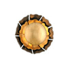 Corbett Magic Garden Wall Sconce