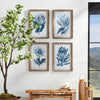 Napa Home & Garden Indigo Protea Prints - Set of 4