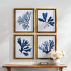 Napa Home & Garden Indigo Seaweed Prints - Set of 4